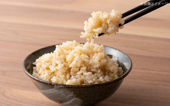 五ツ星お米マイスター厳選【玄米】エコ栽培米 恵の上意東産「コシヒカリ」5kg 島根県松江市/株式会社沼田米穀店 [ALBU001] 米