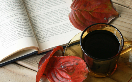 【豆】ブレンドセレクション コーヒー豆2種 400g（200g×2袋） 島根県松江市/服部珈琲工房 [ALBY002-1] コーヒー 豆