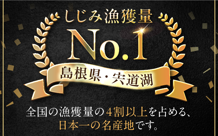 【年内発送】超希少！特大粒プレミアムサイズ 宍道湖産冷凍大和しじみ 特大粒500g×2袋 島根県松江市/平野缶詰有限会社 [ALBZ014] しじみ