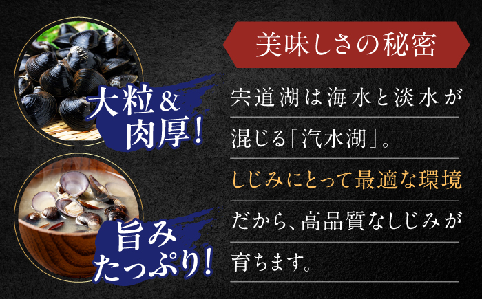 【全3回定期便】宍道湖産 「しじみ」 100g×8 島根県松江市/有限会社ヤマヲ水産 [ALDB017]