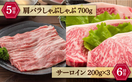 【全6回定期便】しまね和牛 贅沢 ７種食べ尽くし定期便 カルビ モモ 肩ロース サーロイン 島根県松江市/フジキコーポレーション株式会社 [ALDS012] 牛肉