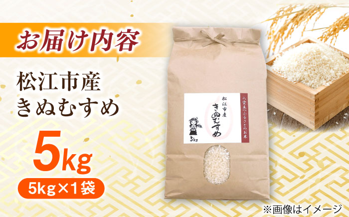 ＼新生活応援企画！／【数量限定50個】【4月末まで！】豊かな自然が育んだお米 松江市産きぬむすめ 5kg 島根県松江市/フジキコーポレーション株式会社 [ALDS020] 白米