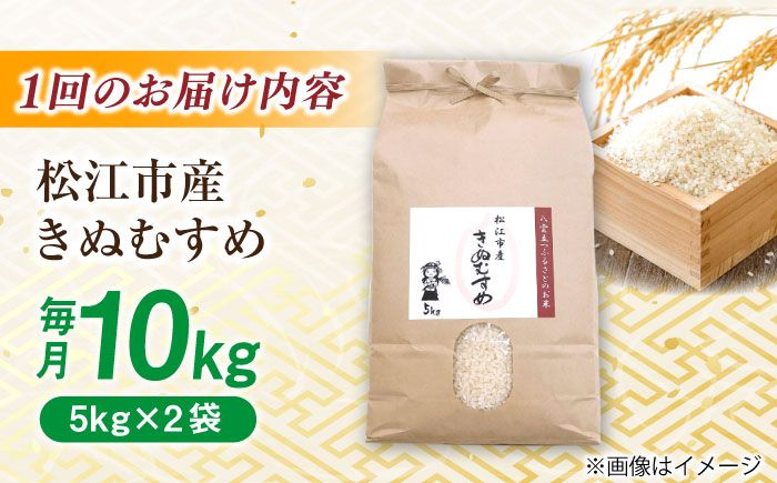 ＼新生活応援企画！／【数量限定20個】【4月末まで！】【全6回定期便】豊かな自然が育んだお米 松江市産きぬむすめ 10kg 島根県松江市/フジキコーポレーション株式会社 [ALDS022] 米