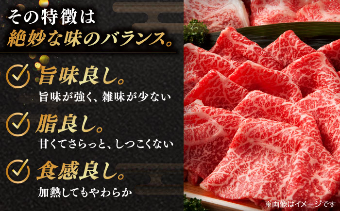 【全12回定期便】焼肉の常識を覆す！店主渾身の隠れ絶品 しまね和牛タンミックス 計約24.0kg　焼肉 牛タン 部位おまかせ ミックス 島根県松江市/株式会社O.R.C [ALEF045]