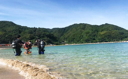 松江で海中散歩♪初心者でも安心の体験ダイビングプラン 島根県松江市/合同会社LOCOBLUE [ALFE001] 体験チケット