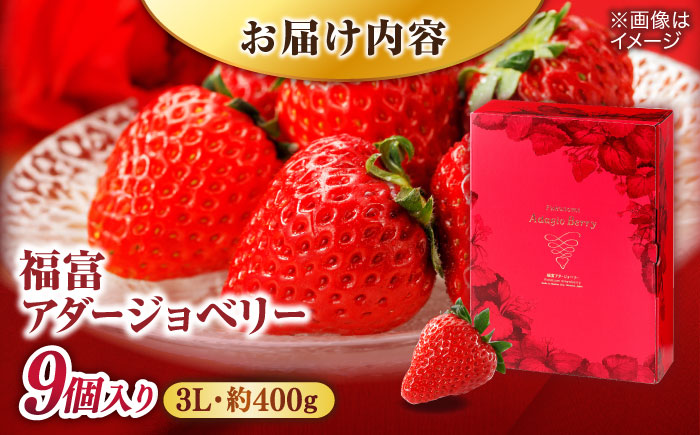 【数量限定20セット】島根県松江市「のつ農園」　完熟いちご「福富アダージョベリー」９個入り 島根県松江市/山陰中央テレビジョン放送株式会社 [ALFI002]