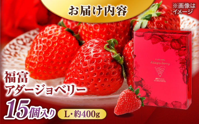 【数量限定100セット】島根県松江市「のつ農園」　完熟いちご「福富アダージョベリー」　15個入り 島根県松江市/山陰中央テレビジョン放送株式会社 [ALFI004]