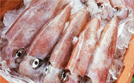 【全3回定期便】漁師直送！「季節を旬の海産物で感じる」詰め合わせ(10,000円相当分)冷凍 島根県松江市/株式会社永幸丸 [ALFM008] 旬の鮮魚