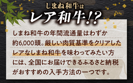 【ブランド牛・しまね和牛】小間切れ 250g×2パック カレー・シチュー用 島根県松江市/Do corporation株式会社（しまね和牛） [ALFU014] 牛肉