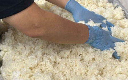 【年内発送】米麹の甘酒220g×30本 島根県松江市/合同会社スギナリ醸造所 [ALGY002]