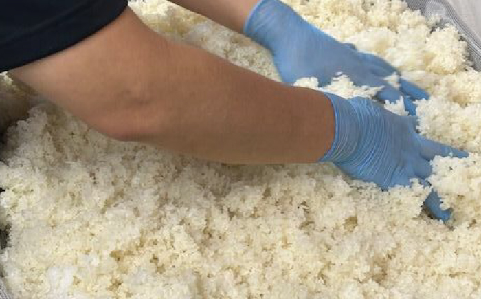 【年内発送】米麹の甘酒220g×10本 島根県松江市/合同会社スギナリ醸造所 [ALGY004]