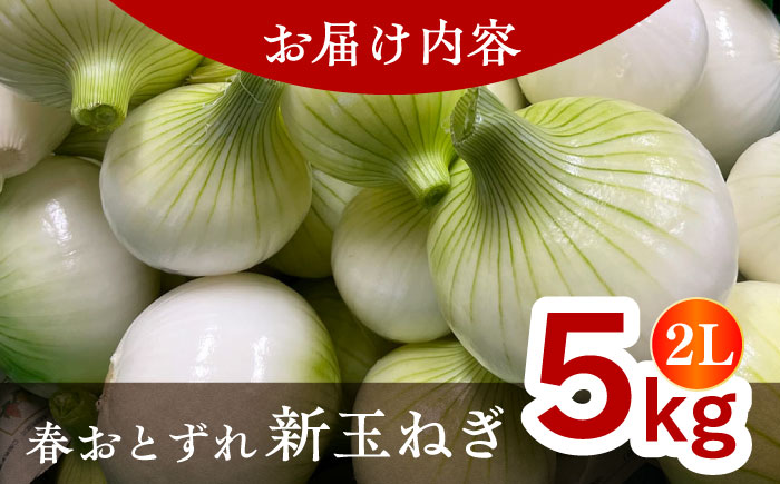 【数量限定10個】【先行予約/2026年6月上旬以降順次発送】美味しまねゴールド認証取得! 松江市産　春おとずれ新たまねぎ 2Lサイズ 5kg 島根県松江市/mishiro farm [ALIJ004]