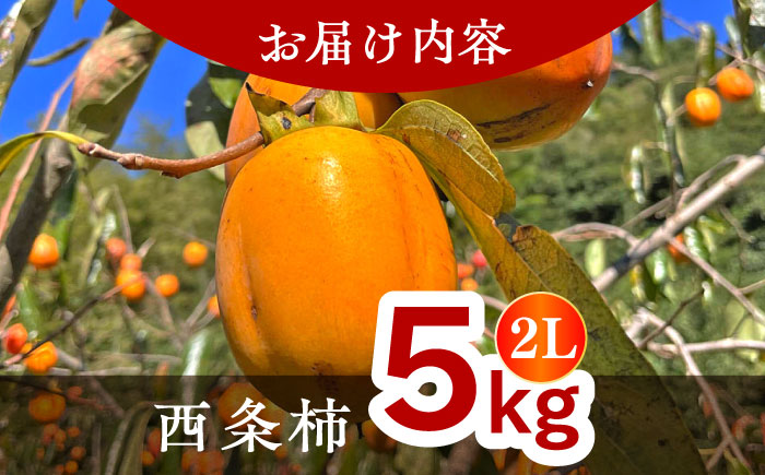 【数量限定10個】【秋限定！先行予約/10月上旬より順次発送】美味しまねゴールド認証！ 松江市産 西条柿 合わせ柿 大玉2L 5kg 島根県松江市/mishiro farm [ALIJ005]