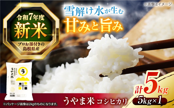 島根県産「うやま米 コシヒカリ（雲南市吉田町）」5kg（5kg×1）島根県松江市/有限会社藤本米穀店 [ALCG039]