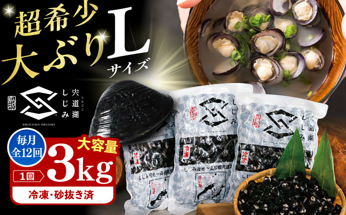 【全12回定期便】地元でも入手困難なレアサイズ！ Lサイズ 宍道湖産ヤマトシジミ(冷凍砂抜き済み)1kg×3袋(3kg) 島根県松江市/宍道湖漁業協同組合 [ALAZ008]