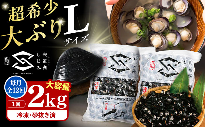 【全12回定期便】地元でも入手困難なレアサイズ！ Lサイズ 宍道湖産ヤマトシジミ(冷凍砂抜き済み)1kg×2袋(2kg) 島根県松江市/宍道湖漁業協同組合 [ALAZ011]