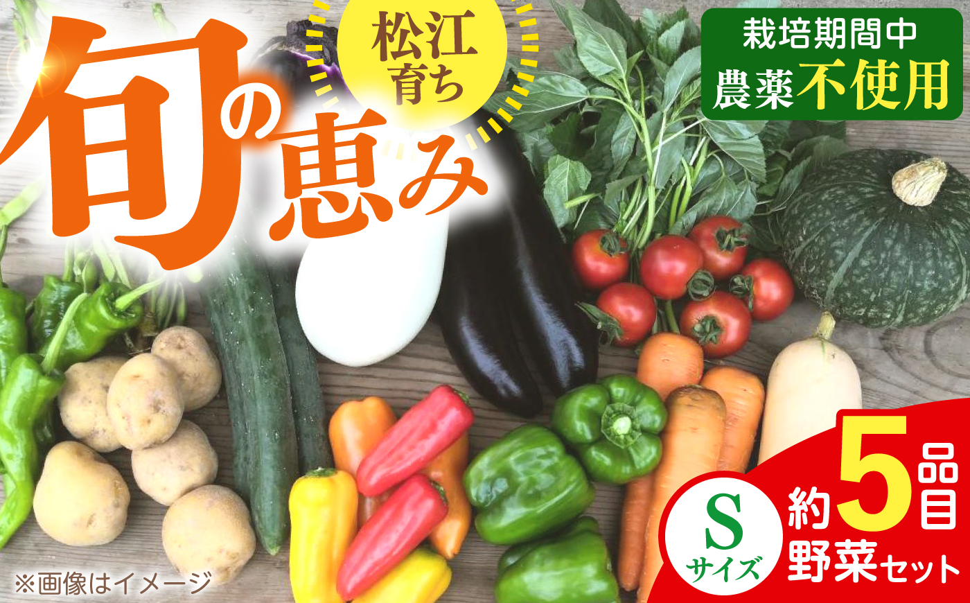 【旬の野菜セットSサイズ】島根県松江市/須山農園 [ALBD007]