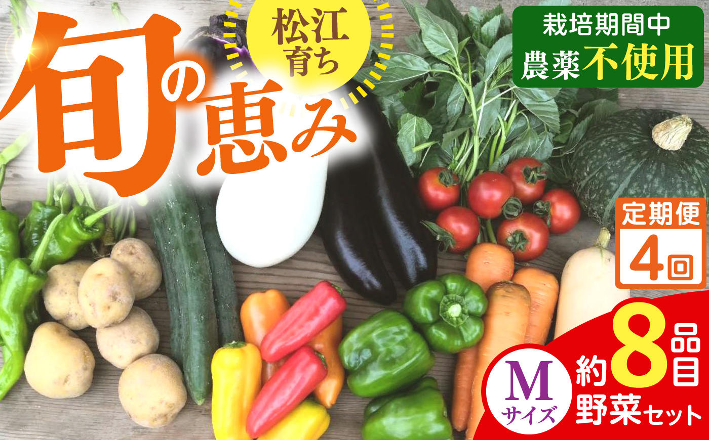 【先行予約】【2027年1月以降発送開始】【全4回定期便】旬の野菜セットMサイズ 島根県松江市/須山農園 [ALBD008]