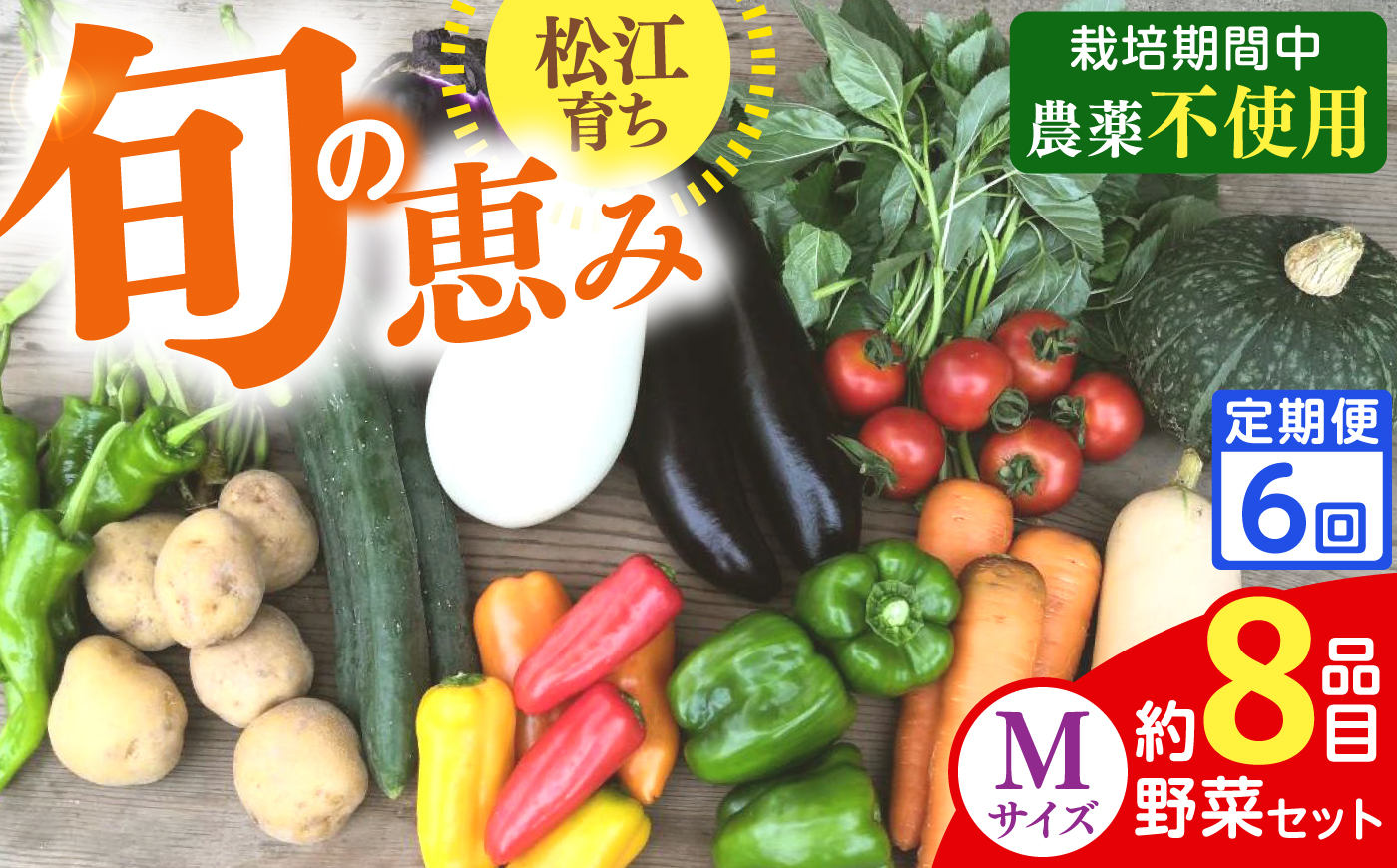 【先行予約】【2027年1月以降発送開始】【全6回定期便】旬の野菜セットMサイズ 島根県松江市/須山農園 [ALBD009]