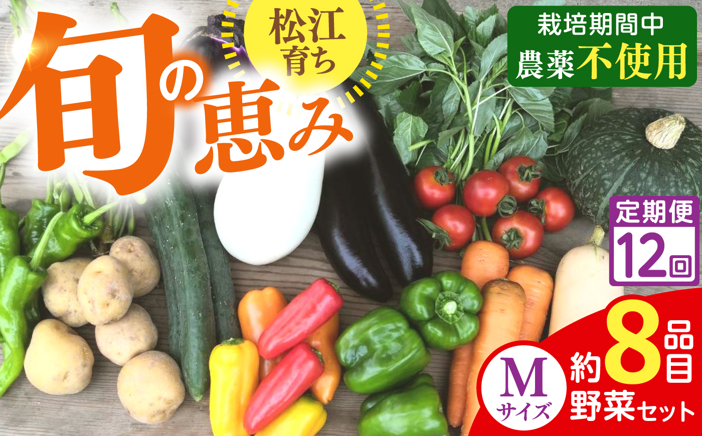 【先行予約】【2027年1月以降発送開始】【全12回定期便】旬の野菜セットMサイズ 島根県松江市/須山農園 [ALBD010]