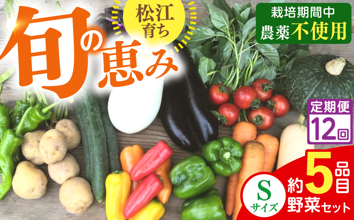 【先行予約】【2027年1月以降発送開始】【全12回定期便】旬の野菜セットSサイズ 島根県松江市/須山農園 [ALBD013]