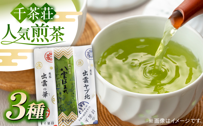 千茶荘 煎茶３本セット(出雲ヤブ北･出雲の華･八雲ほまれ) 島根県松江市/株式会社千茶荘 [ALBF005] お茶