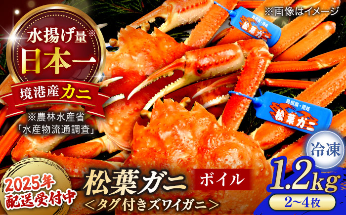 【年内発送】急速冷凍で旨みをぎゅっと閉じ込めた！松葉ガニボイル姿1.2kg以上(2～4枚) 島根県松江市/中浦食品株式会社 [ALBO003] カニ 蟹