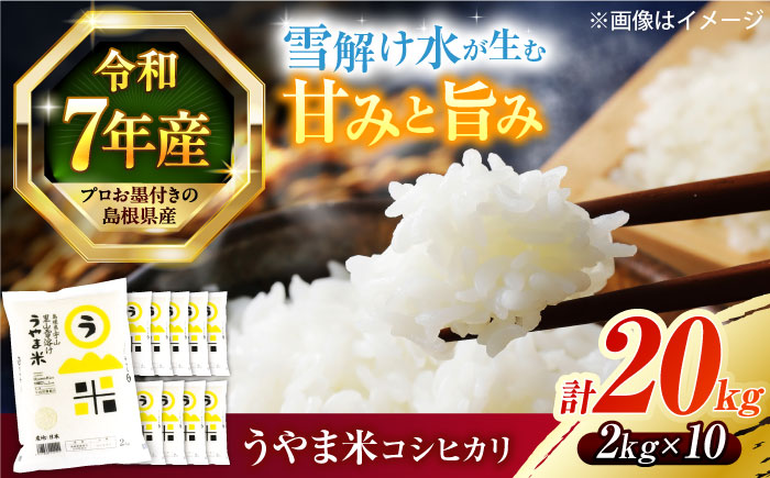 【令和7年産】雪解け水で育った 島根県産「うやま米コシヒカリ（雲南市吉田町）」20kg(2kg×10) 島根県松江市/有限会社藤本米穀店 [ALCG011] 米