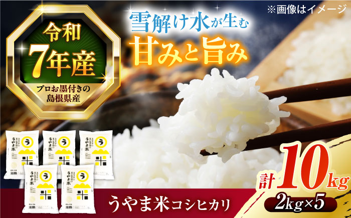 【令和7年産】雪解け水で育った 島根県産「うやま米コシヒカリ（雲南市吉田町）」10kg(2kg×5) 島根県松江市/有限会社藤本米穀店 [ALCG012] 米