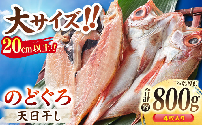 TV放映多数！県内外のファンがわざわざ訪れる 天日ほしもん屋特製 のどぐろ干物×4枚（大サイズ・20cm以上） 島根県松江市/桝谷鮮魚店 [ALCJ002] 干物