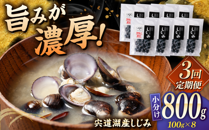 【全3回定期便】宍道湖産 「しじみ」 100g×8 島根県松江市/有限会社ヤマヲ水産 [ALDB017]