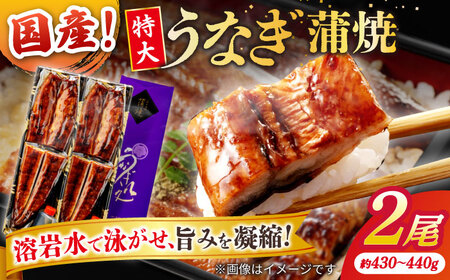 うなぎ老舗専門店のパリっとふっくら国産うなぎ 蒲焼2尾(蒲焼のタレ付き) 島根県松江市/株式会社山美世商会 [ALDC001] うなぎ