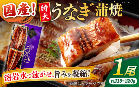 うなぎ老舗専門店のパリっとふっくら国産うなぎ 蒲焼1尾(蒲焼のタレ付き) 島根県松江市/株式会社山美世商会 [ALDC003] うなぎ