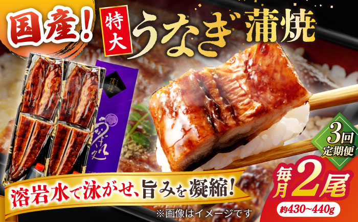【3回定期便】うなぎ老舗専門店のパリっとふっくら国産うなぎ 蒲焼2尾(蒲焼のタレ付き) 島根県松江市/株式会社山美世商会 [ALDC013]