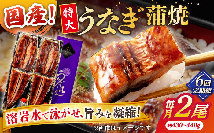 【6回定期便】うなぎ老舗専門店のパリっとふっくら国産うなぎ 蒲焼2尾(蒲焼のタレ付き) 島根県松江市/株式会社山美世商会 [ALDC014]