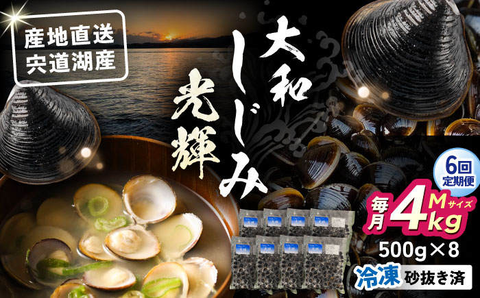 【全6回定期便】産地直送！宍道湖産 冷凍大和しじみMサイズ4kg(500g×8) 砂抜き処理済 島根県松江市/りすたむMatsue [ALDE014]