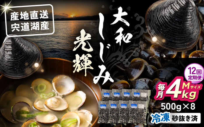 【全12回定期便】産地直送！宍道湖産 冷凍大和しじみMサイズ4kg(500g×8) 砂抜き処理済 島根県松江市/りすたむMatsue [ALDE015]