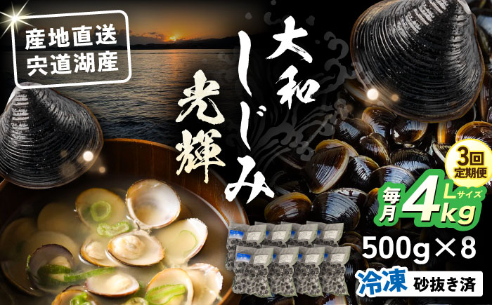 【全3回定期便】産地直送！宍道湖産 冷凍大和しじみLサイズ4kg(500g×8) 砂抜き処理済 島根県松江市/りすたむMatsue [ALDE016]