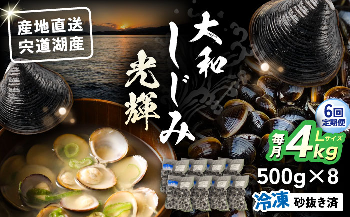 【全6回定期便】産地直送！宍道湖産 冷凍大和しじみLサイズ4kg(500g×8) 砂抜き処理済 島根県松江市/りすたむMatsue [ALDE017]