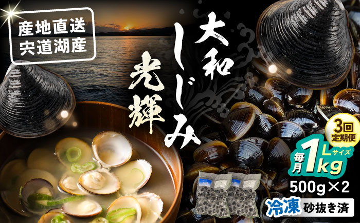 【全3回定期便】産地直送！宍道湖産 冷凍大和しじみLサイズ1kg(500g×2) 砂抜き処理済 島根県松江市/りすたむMatsue [ALDE022]
