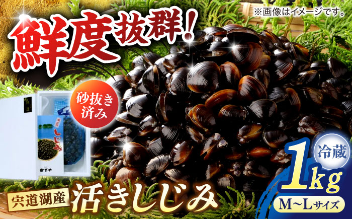 砂抜き不要！宍道湖産 活ヤマトシジミ 生しじみ 1kg 島根県松江市/株式会社漁師村 [ALDN005]