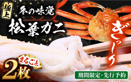 【期間限定・先行予約】冬の味覚の代表格！松葉ガニ 2枚 島根県松江市/フジキコーポレーション株式会社 [ALDS018] カニ 蟹