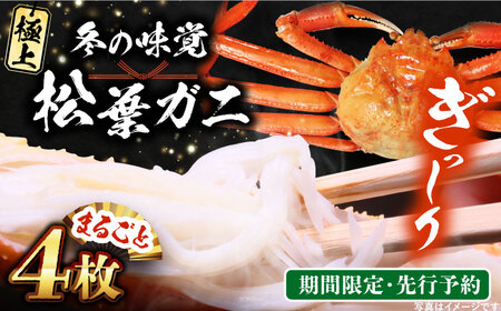【期間限定・先行予約】冬の味覚の代表格！松葉ガニ 4枚 島根県松江市/フジキコーポレーション株式会社 [ALDS019] カニ 蟹