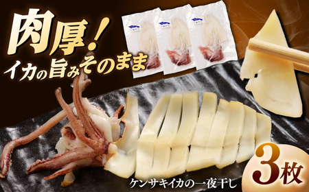 白イカ(ケンサキイカ)の一夜干し3枚セット 島根県松江市/海ひこ株式会社 [ALDY006] 干物