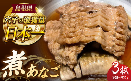 煮あなご3枚セット 島根県松江市/海ひこ株式会社 [ALDY011] 魚貝 加工品