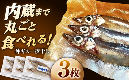 沖ギス(ニギス)の一夜干し3枚セット 島根県松江市/海ひこ株式会社 [ALDY012] 干物