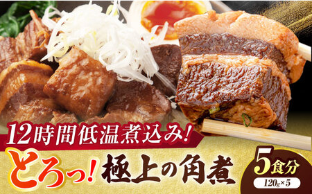 食感よし！旨みよし！【豚の角煮セット(5食)】惣菜 おかず 豚バラ 小分け 島根県松江市/根っこや株式会社 [ALEE001] 惣菜 レトルト