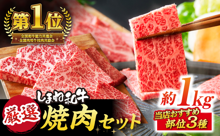 極上厳選！受賞歴多数 しまね和牛 焼肉セット 部位3種(1kg) 島根県松江市/株式会社O.R.C [ALEF003] 牛肉