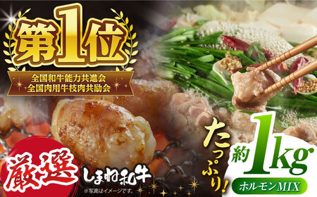 極上厳選！受賞歴多数 しまね和牛 ミックスホルモン(1kg) 島根県松江市/株式会社O.R.C [ALEF006] 牛肉