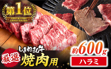 極上厳選！受賞歴多数 しまね和牛 ハラミ焼肉(600g) 島根県松江市/株式会社O.R.C [ALEF008] 牛肉